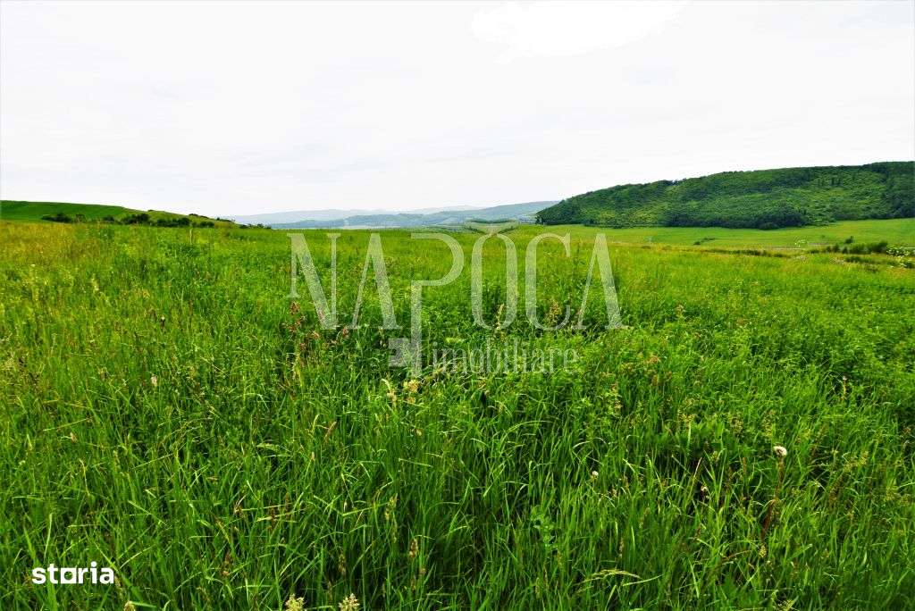 Teren extravilan pentru constructii de vanzare in Popesti - Imagine principală: 4/5