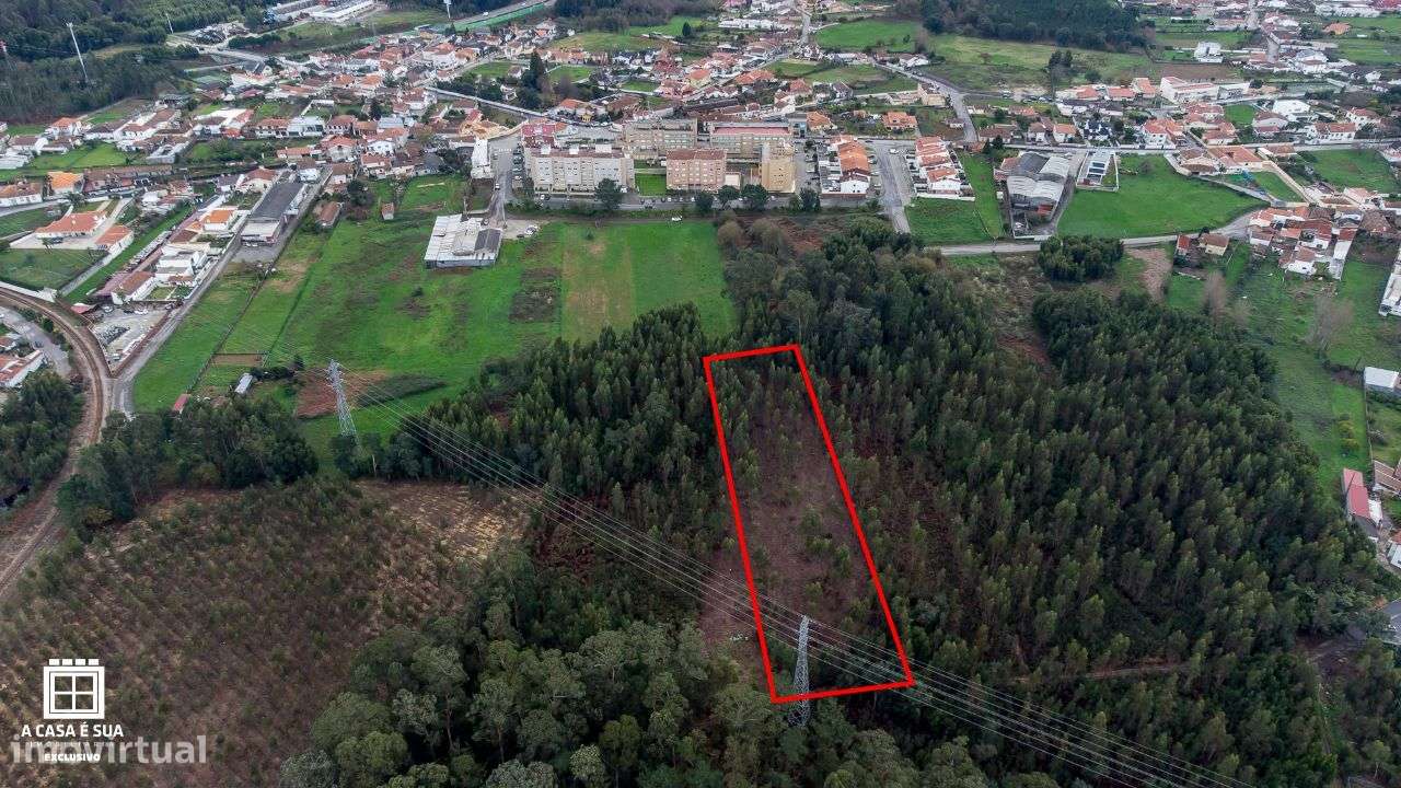 Terreno rústico na Paredinha em Rio Meão - Exclusivo - Grande imagem: 5/9