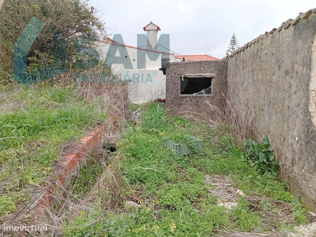 Casa antiga com quintal - Grande imagem: 2/13