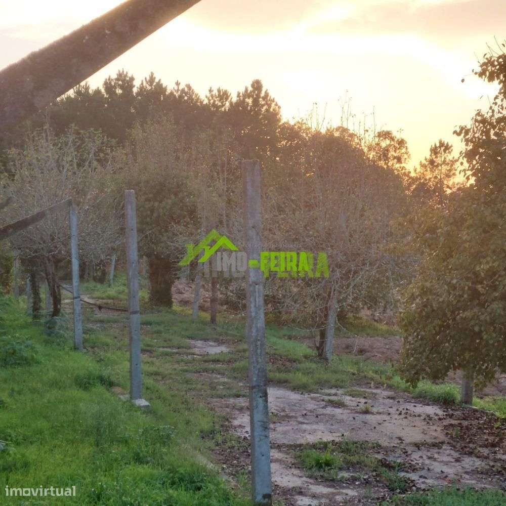 Terreno em Santa Maria da Feira - Grande imagem: 5/13