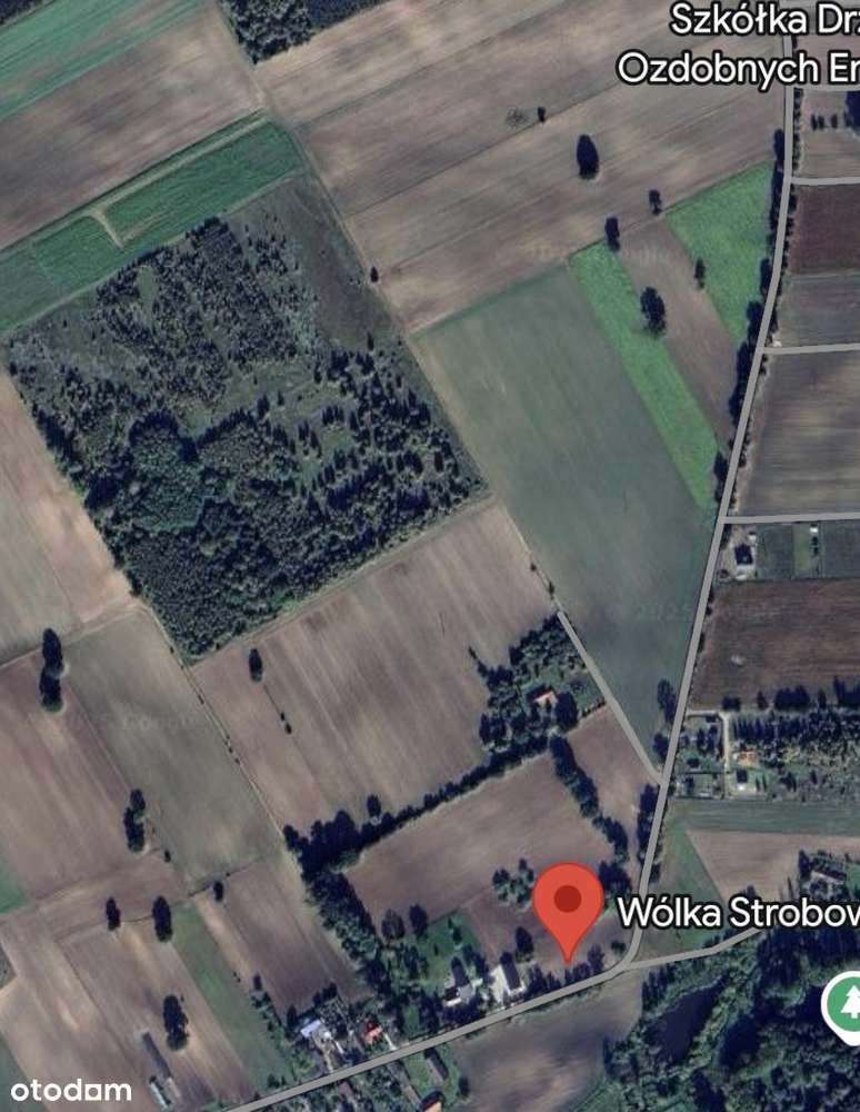 Działka z pięknym widokiem + pozwolenie na budowę domu/hotelu i stajni - Pełny obrazek: 5/20