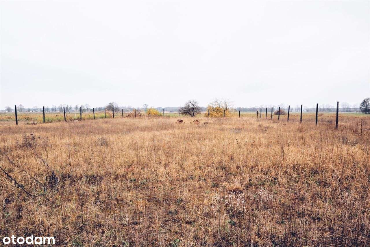 Spełnij marzenie o domu blisko lasu i wody! - Pełny obrazek: 4/5