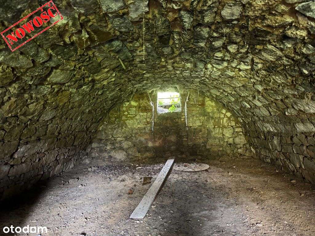 Działki zabudowane - Wojnarowice - 4100m2-15