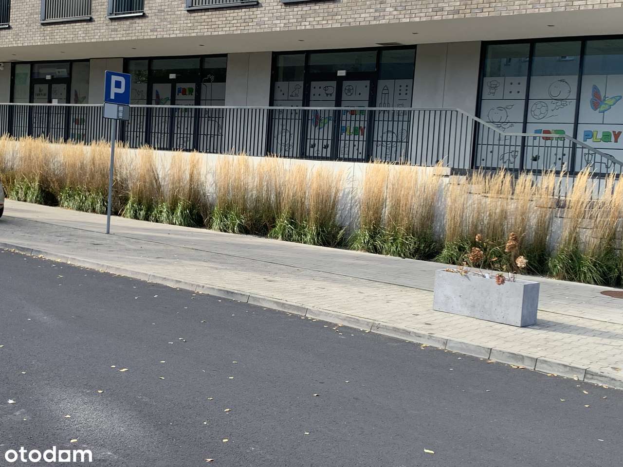 Strzelecka 8B, centrum, parter, duże witryny - Pełny obrazek: 3/6