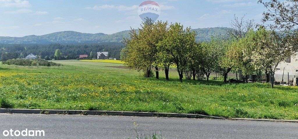 Piękna działka na Jurze Krakowsko-Częstochowskiej - Pełny obrazek: 5/6