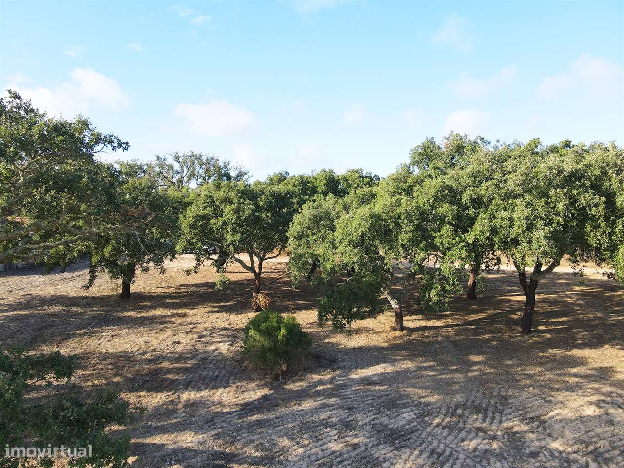 Terreno rústico Grândola - Grande imagem: 2/10