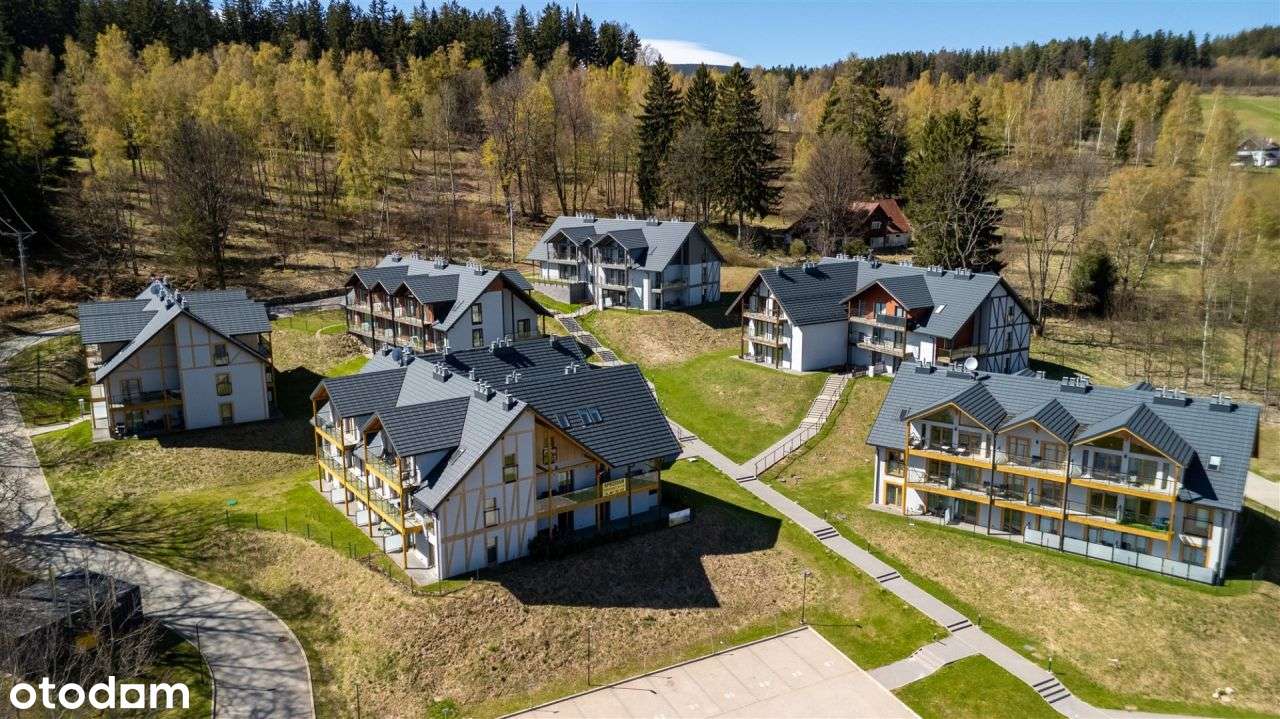 Lokal typu studio z wydzieloną sypialnią - View 2