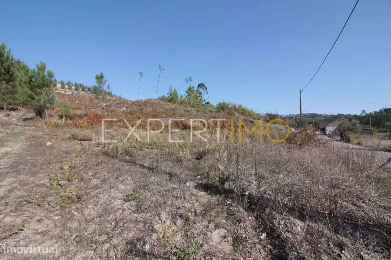Terreno com índice construtivo em Gondemaria (Ourém) - Grande imagem: 5/6