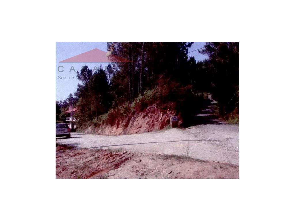 Venda Terreno Caminha - Grande imagem: 2/3