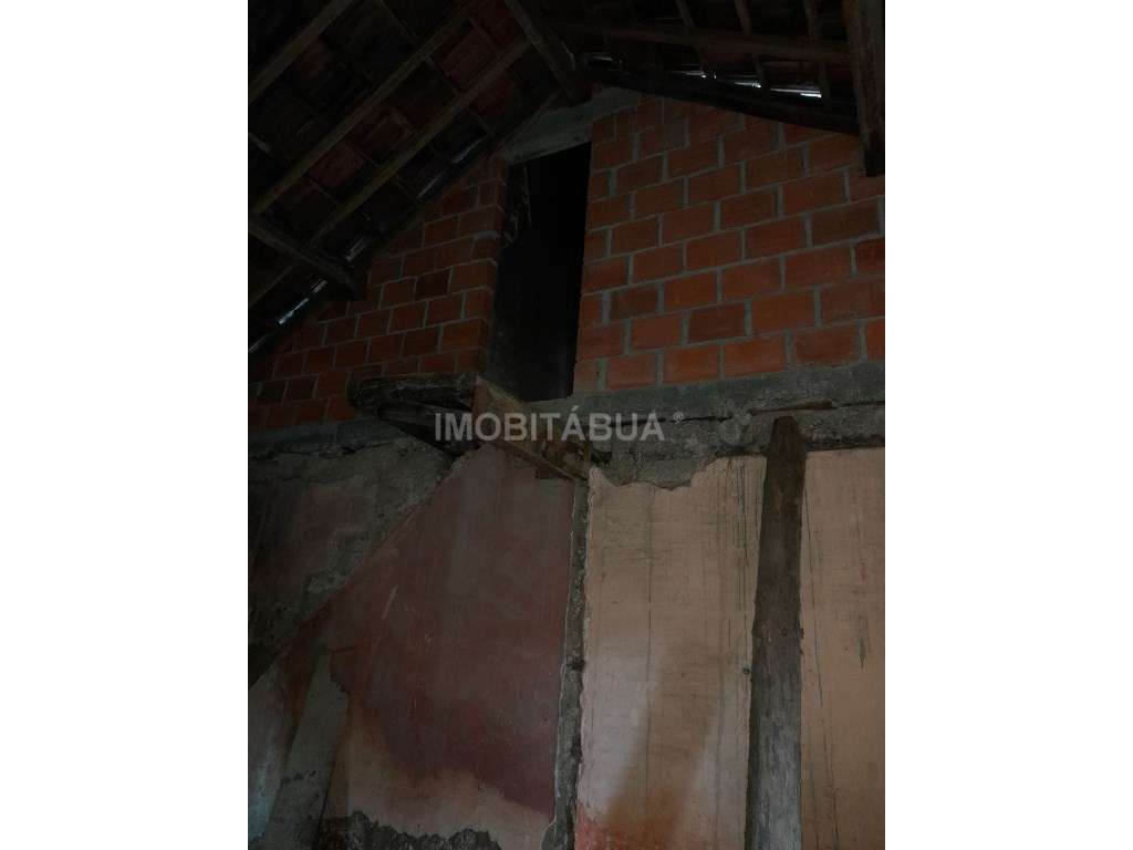 Quinta de Mirtilos com mais de 3 Hectares, localizada perto de Tondela-17