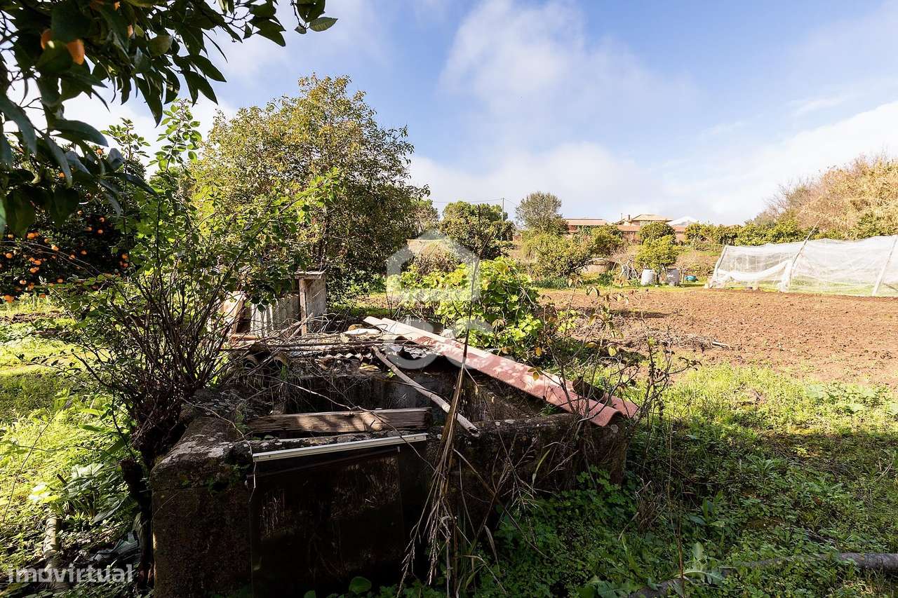 Quinta T5 de 0,9 ha com Moradias e Anexos | Torrão, Alcácer do Sal-52