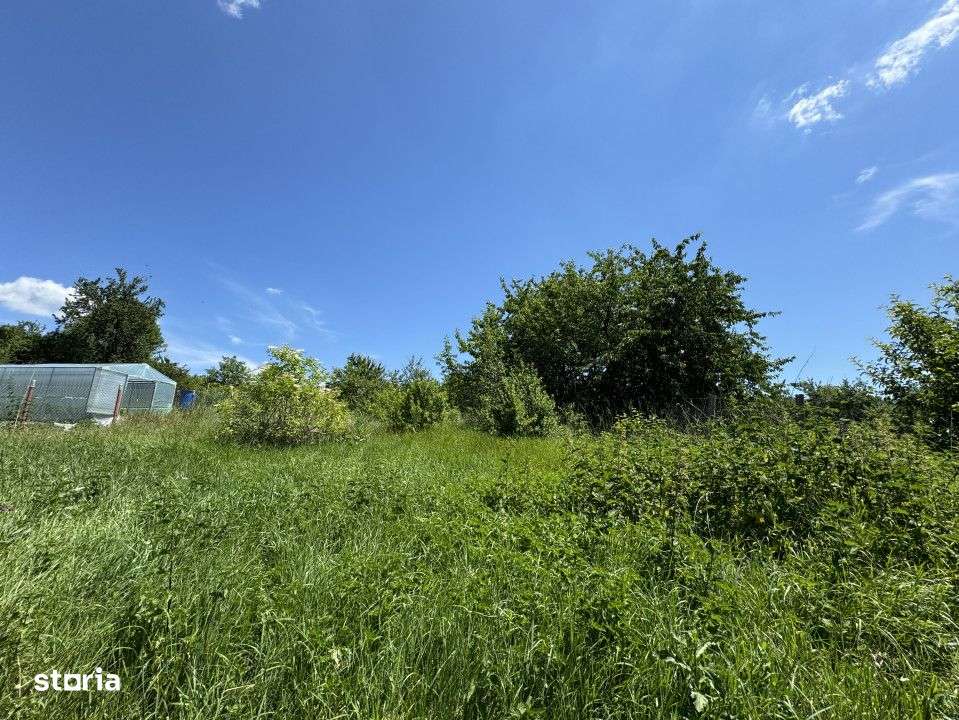 Oportunitate Investitie, Teren Intravilan, 1775 mp, Chinteni - Imagine principală: 2/4