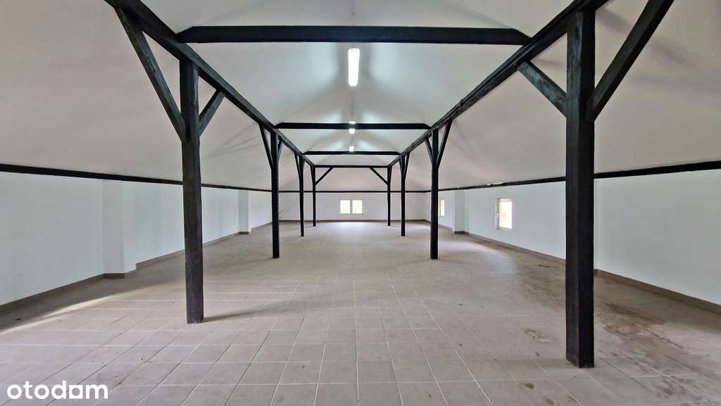 Działka pod biznes, SPA, domki, usługi 2,62 ha - Pełny obrazek: 5/20