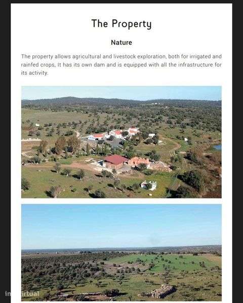 Herdade Alentejo com casa com piscina - Grande imagem: 5/6