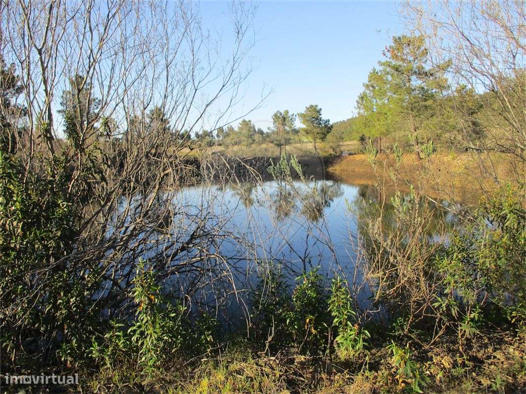 Quinta  para venda - Grande imagem: 3/24