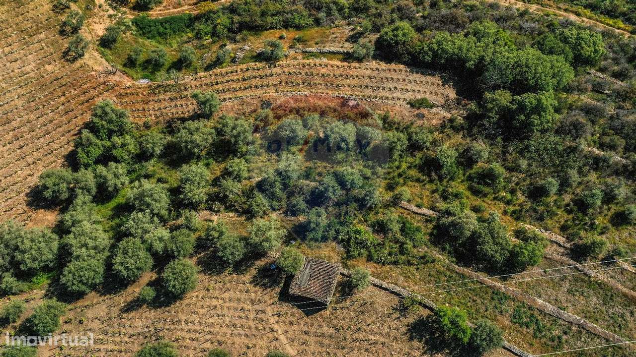 Terreno  para venda - Grande imagem: 5/25