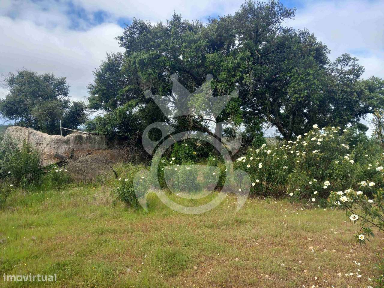 Terreno Rústico com ruína - 3Ha-0