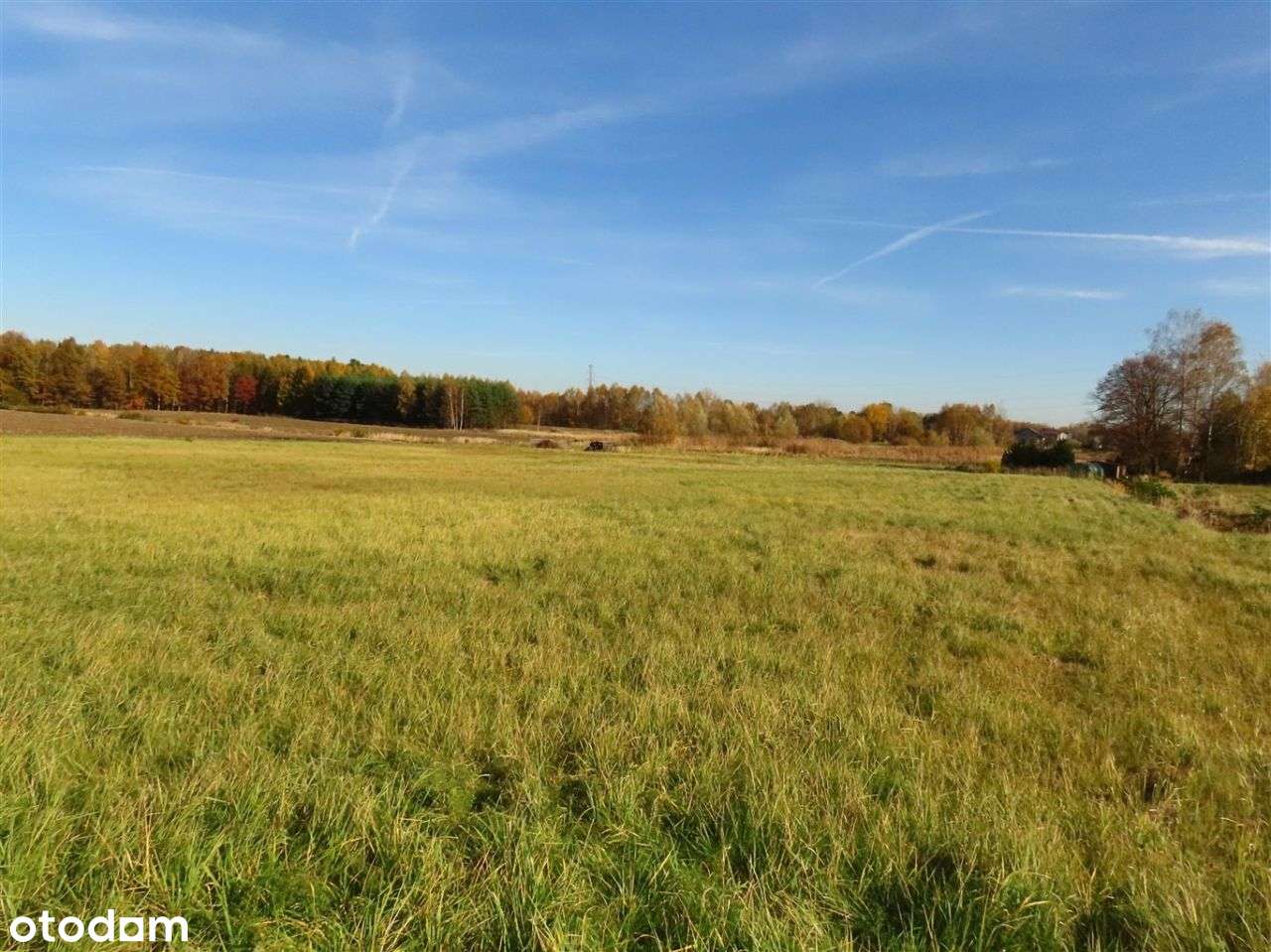 Działka, 1 206 m², Chełm Śląski - Pełny obrazek: 5/6