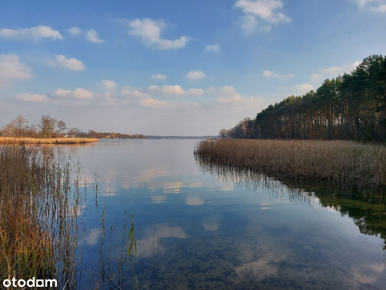 Rekreacyjna działka nad jeziorem Białym