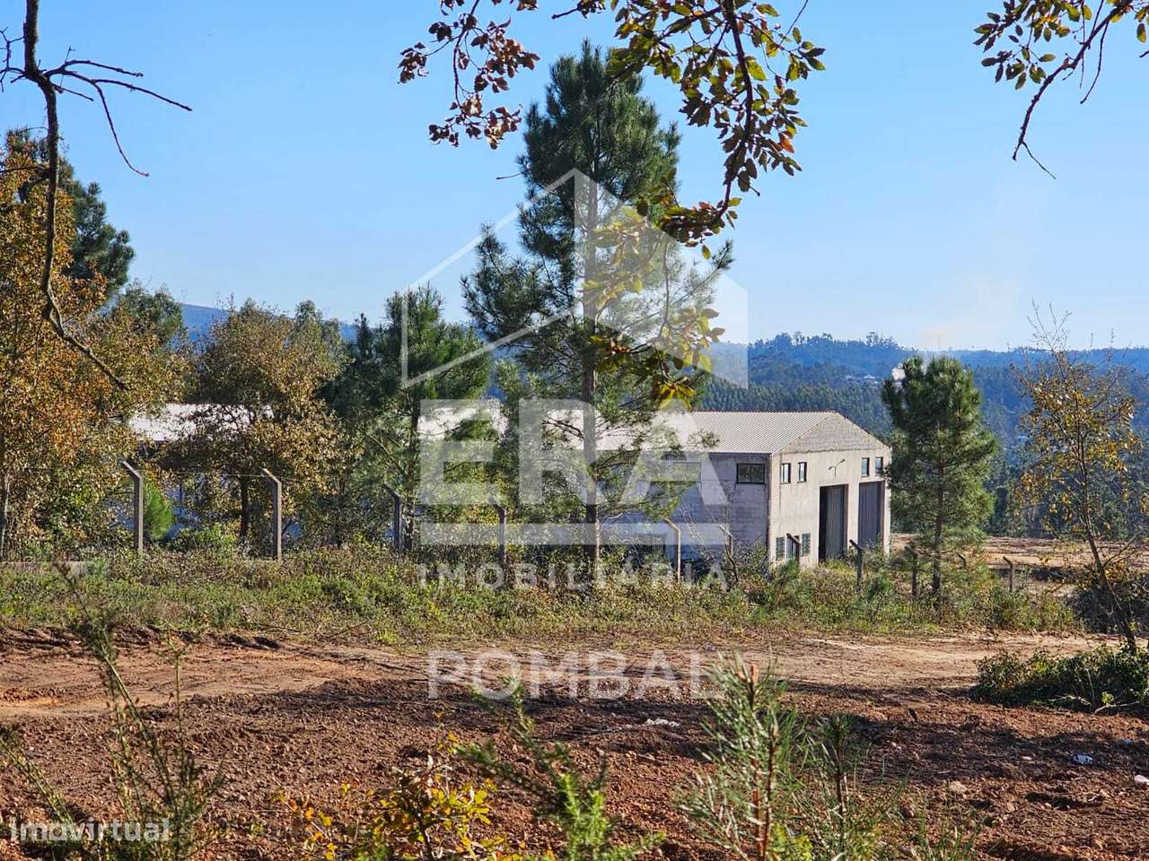 Armazém Pelariga, Pombal - Grande imagem: 3/18