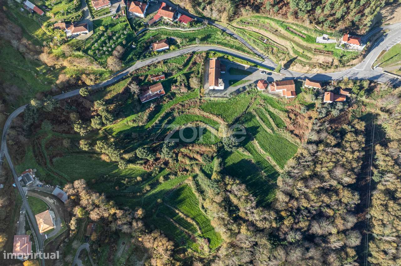 Quinta Sto Estevão - Arouca - Grande imagem: 5/18