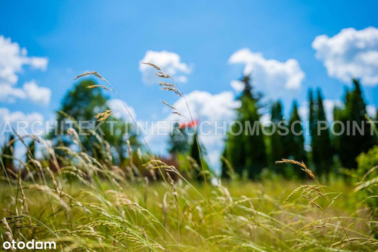 Działka letniskowa Młynarze,  Bug i Fiszor-0