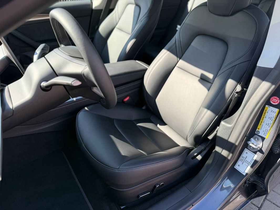 Tesla Model 3 Langstreckenbatterie RWD - 18