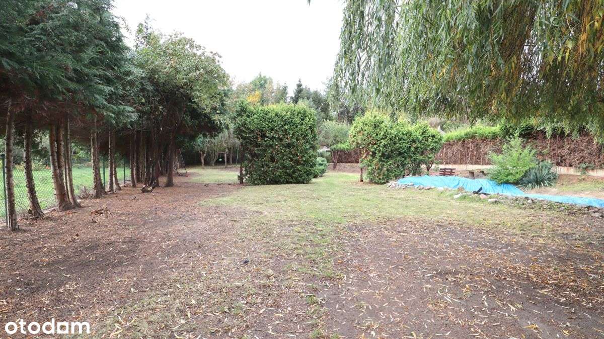 Wolnostojący dom z dużą działką-8