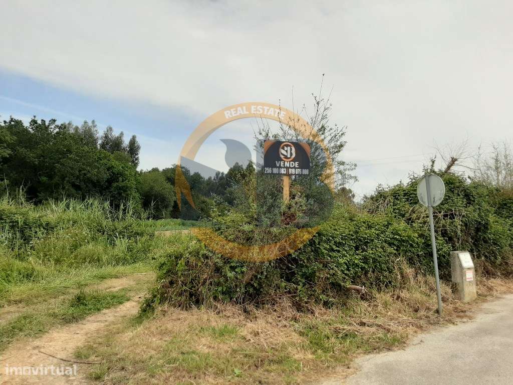 Terreno Rustico Válega Ovar - Grande imagem: 3/8
