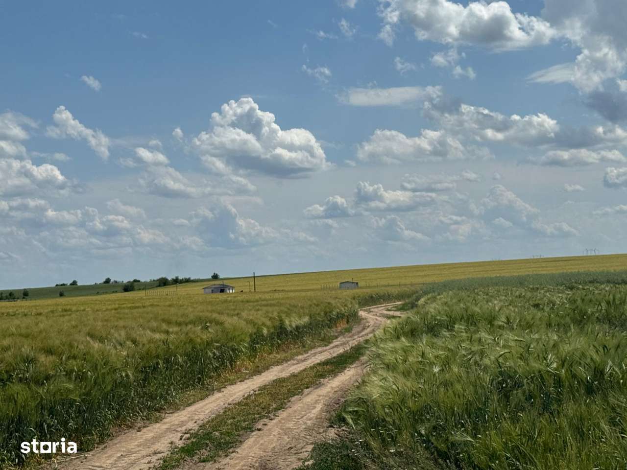 Vanzate Teren intravilan Cernica 4000MP - Imagine principală: 4/12