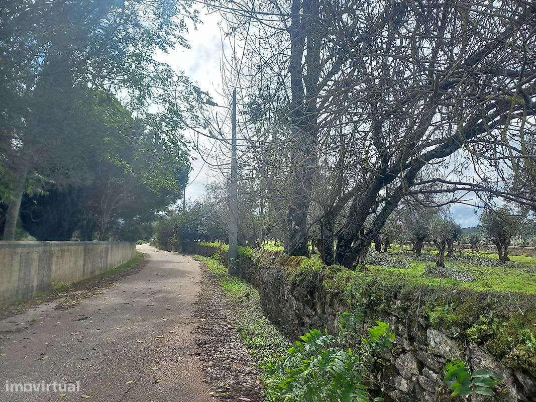 Moradia T11 para venda - Grande imagem: 5/50