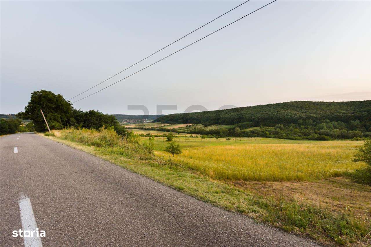 RECO Teren extravilan 11500 mp -Lazareni - Imagine principală: 3/5