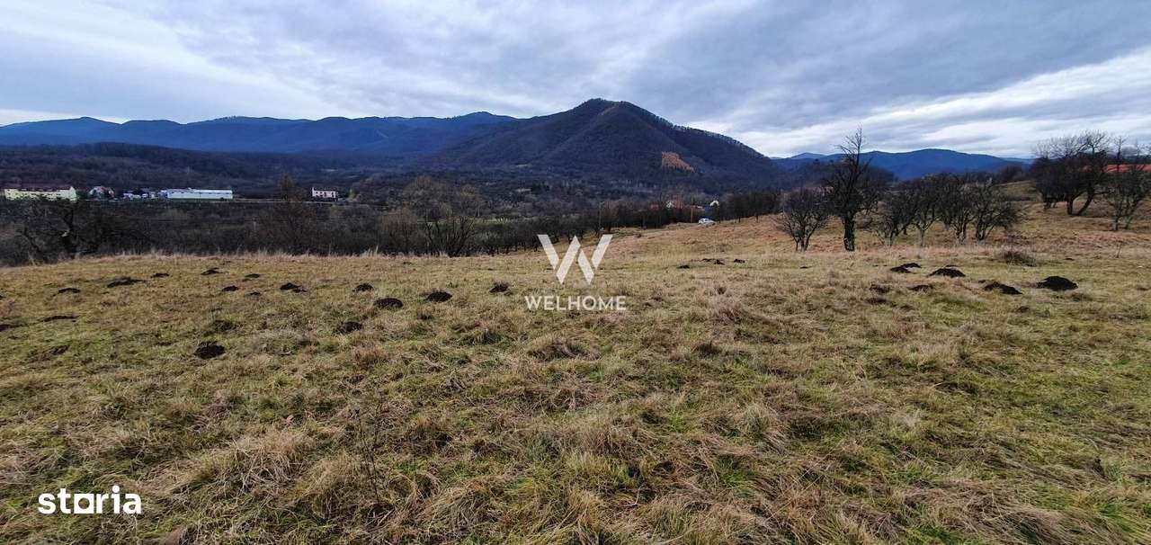 Rădăcini noi, visuri vechi- Teren de vanzare in Cisnadioara, Sibiu - Imagine principală: 2/9