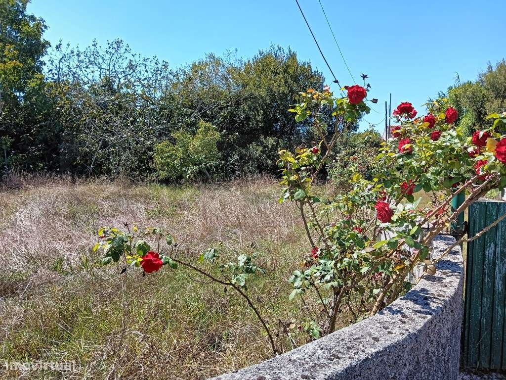 Terreno com moradia devoluta - Aradas - Bonsucesso - Grande imagem: 1/18
