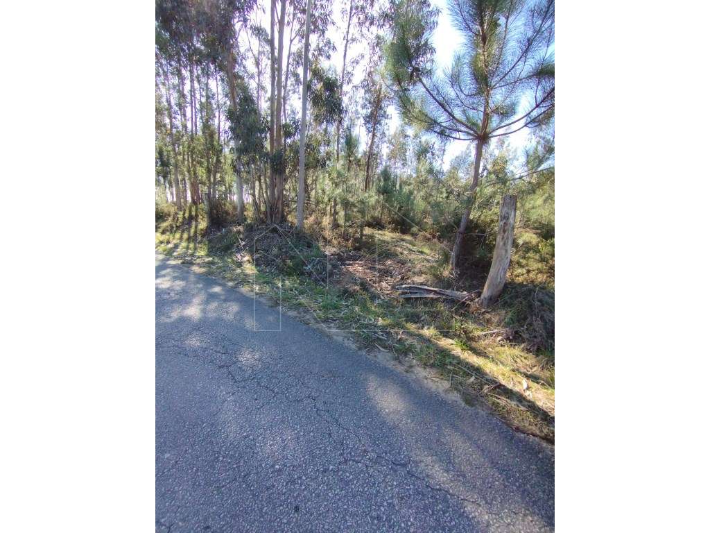 Terreno a 3 minutos de Águeda - Grande imagem: 3/7