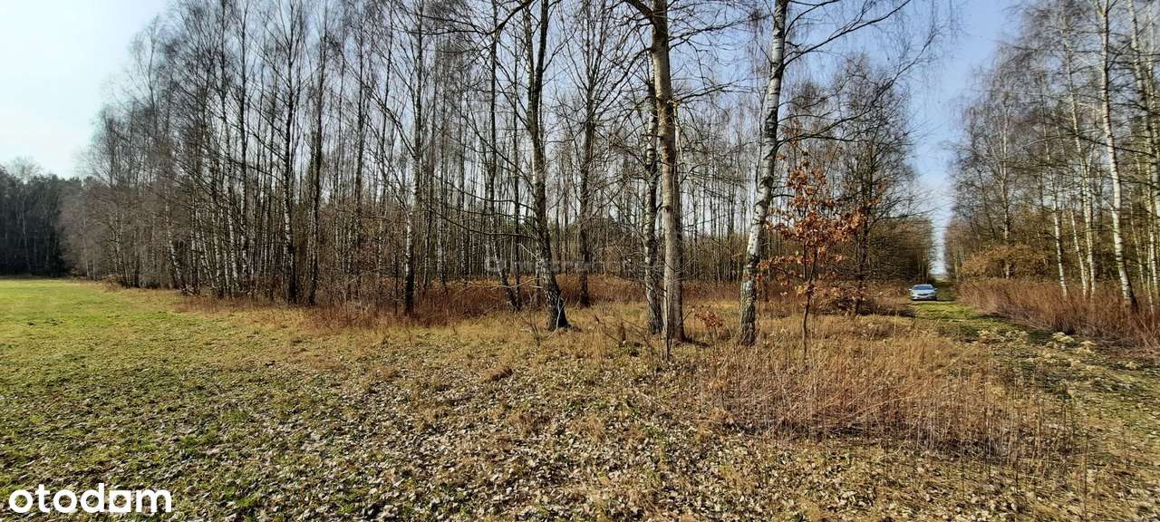 Działka na sprzedaż, Dąbrówka-Niwka - Pełny obrazek: 5/8
