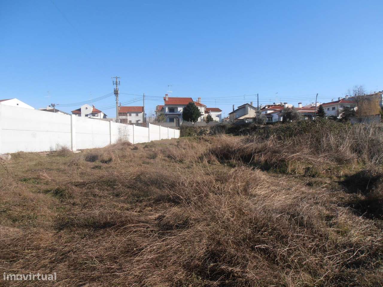 Quinta-6