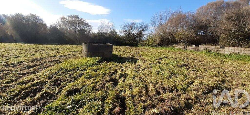 Terreno Agrícola em Três Povos - Grande imagem: 3/18