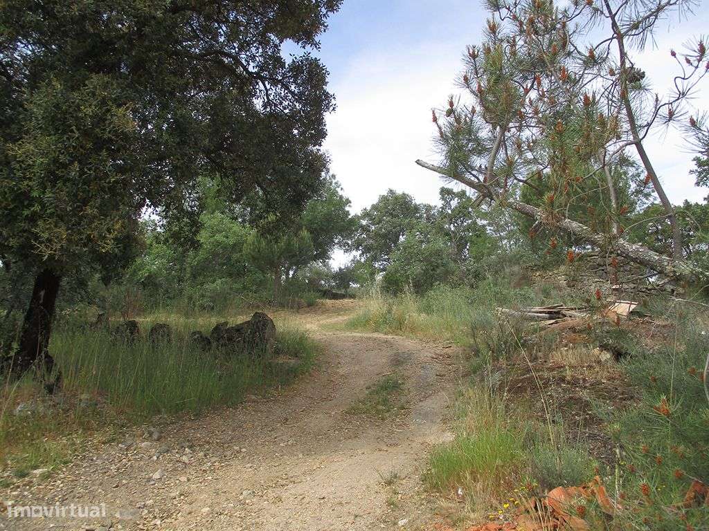 Quinta - Grande imagem: 5/10