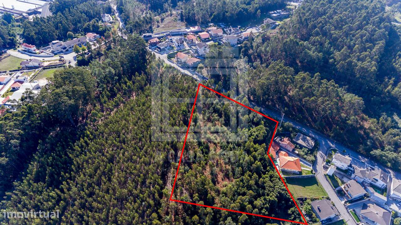 Terreno com 11.981 m2 em Caldas de São Jorge - Exclusivo - Grande imagem: 4/8
