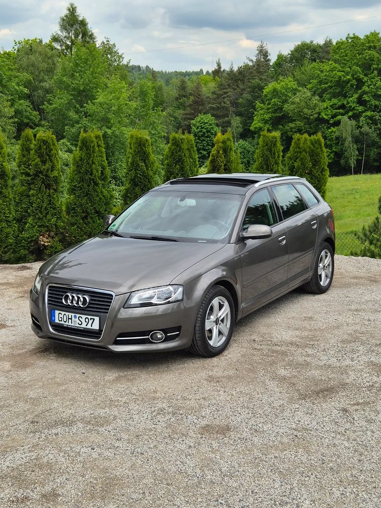 Audi A3 8P 1.6 TDI DPF S tronic Ambiente 2011