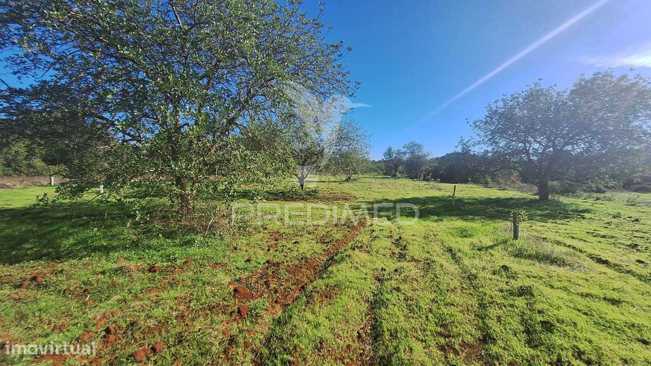 Terreno Rustico em Loulé próximo da Fábrica da Cimpor - Grande imagem: 4/10
