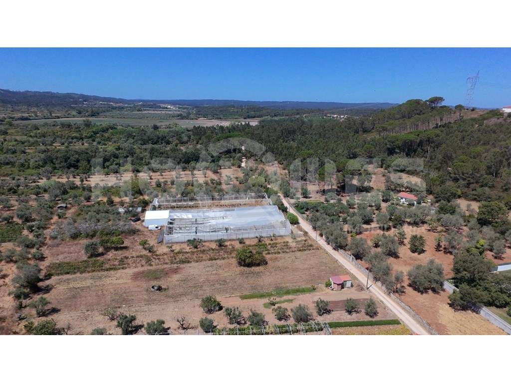 Terreno Agrícola com Estufas Preparadas para Produção em Hidroponia...-27