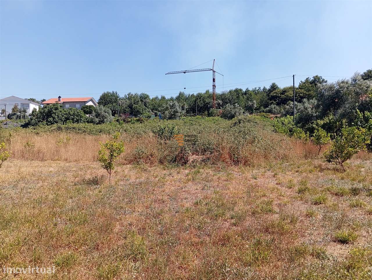 Terreno 3.000m2 Duas igrejas-10