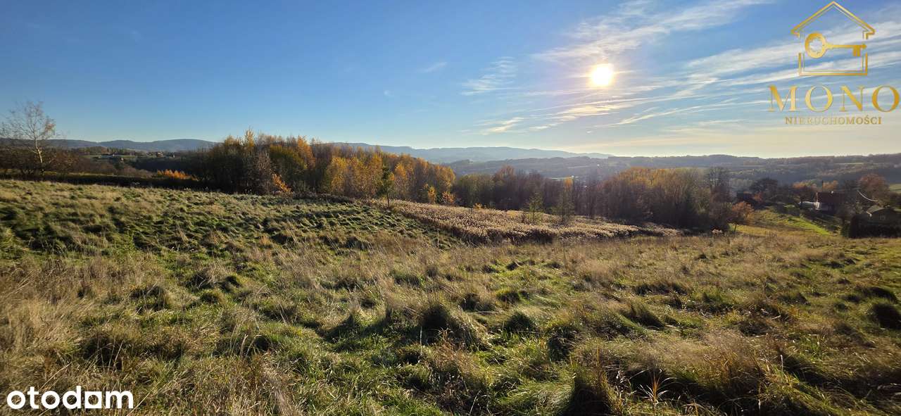 Widokowa działka 58 ar z WZ na 2 domy-15