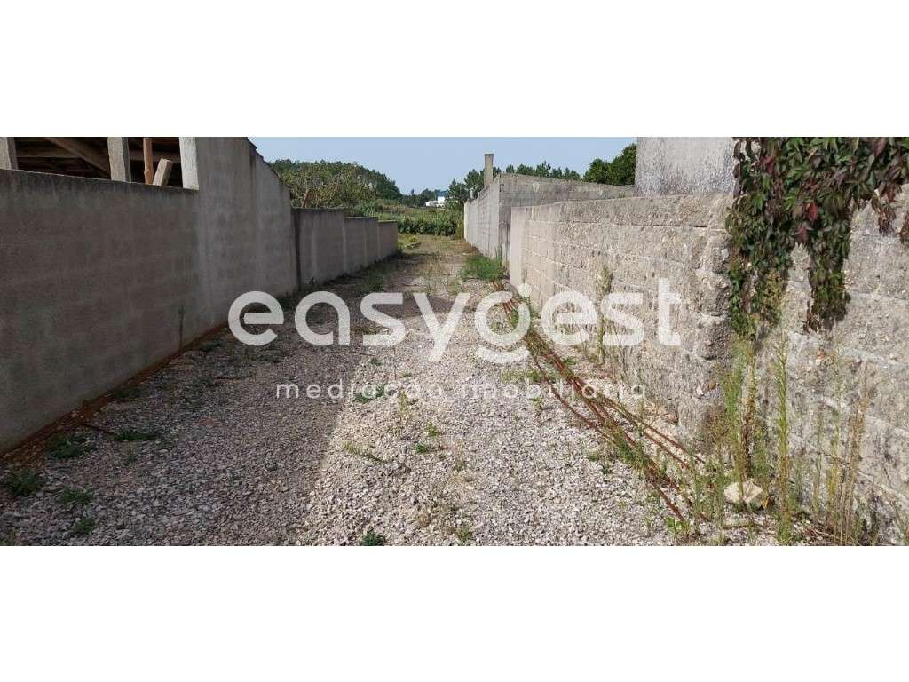 Terreno 3500m2 plano com poço sito em Amor, a poucos kM de Leiria - Grande imagem: 3/13