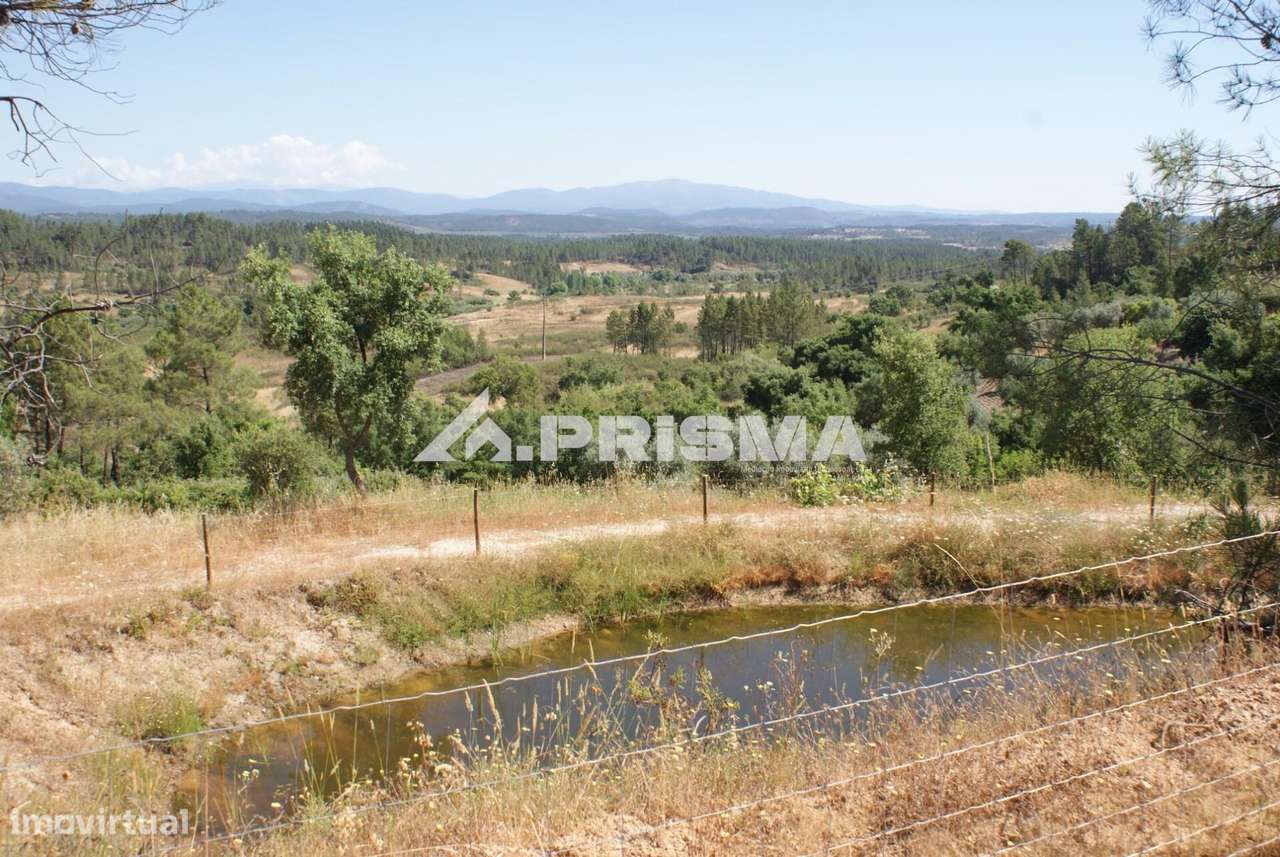 Excelente terreno agrícola para venda em Cabeço do Infante, Sarzedas - Grande imagem: 2/29