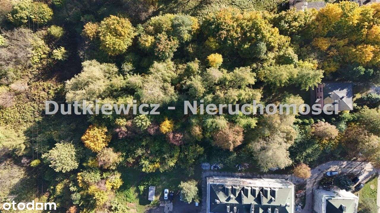 Dom Dwurodzinny|Duża Działka|Piwnica|Strych-4