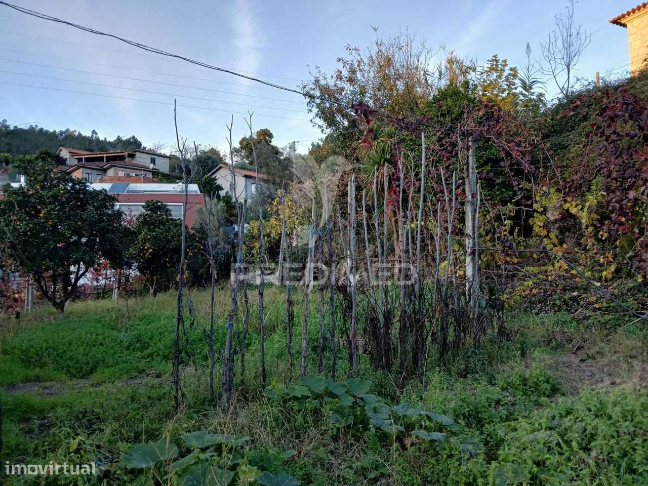 Terreno Rústico com Anexo em Valdosende, Terras de Bouro (Exclusivo) - Grande imagem: 4/10