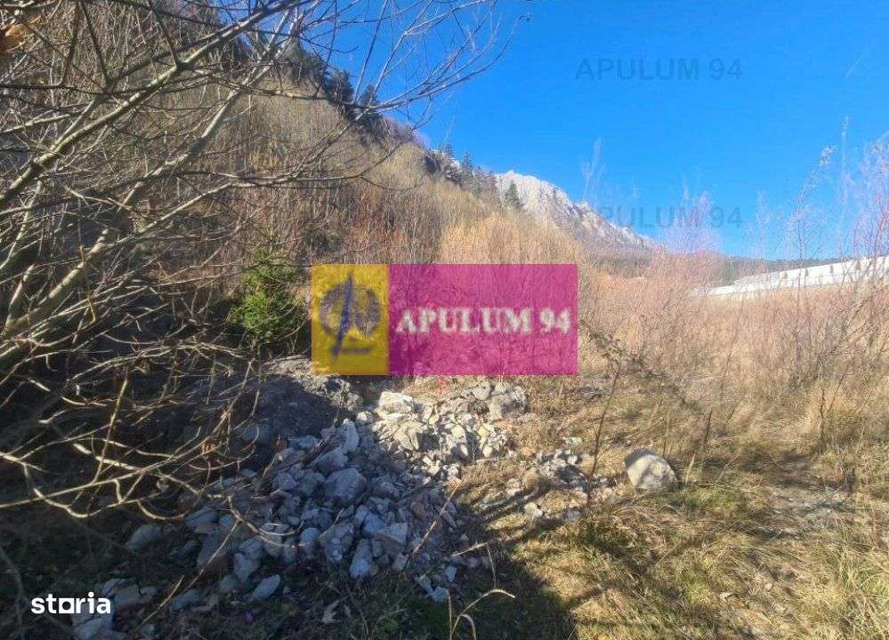 Teren intravilan de vânzare în Bușteni - Zona centrala - Imagine principală: 2/19